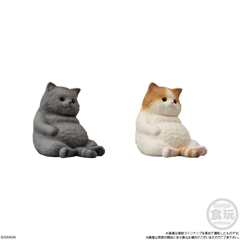 Mocchiri Kororin Squishy Soft Vinyl Cats 4,5cm Asst 12pcs